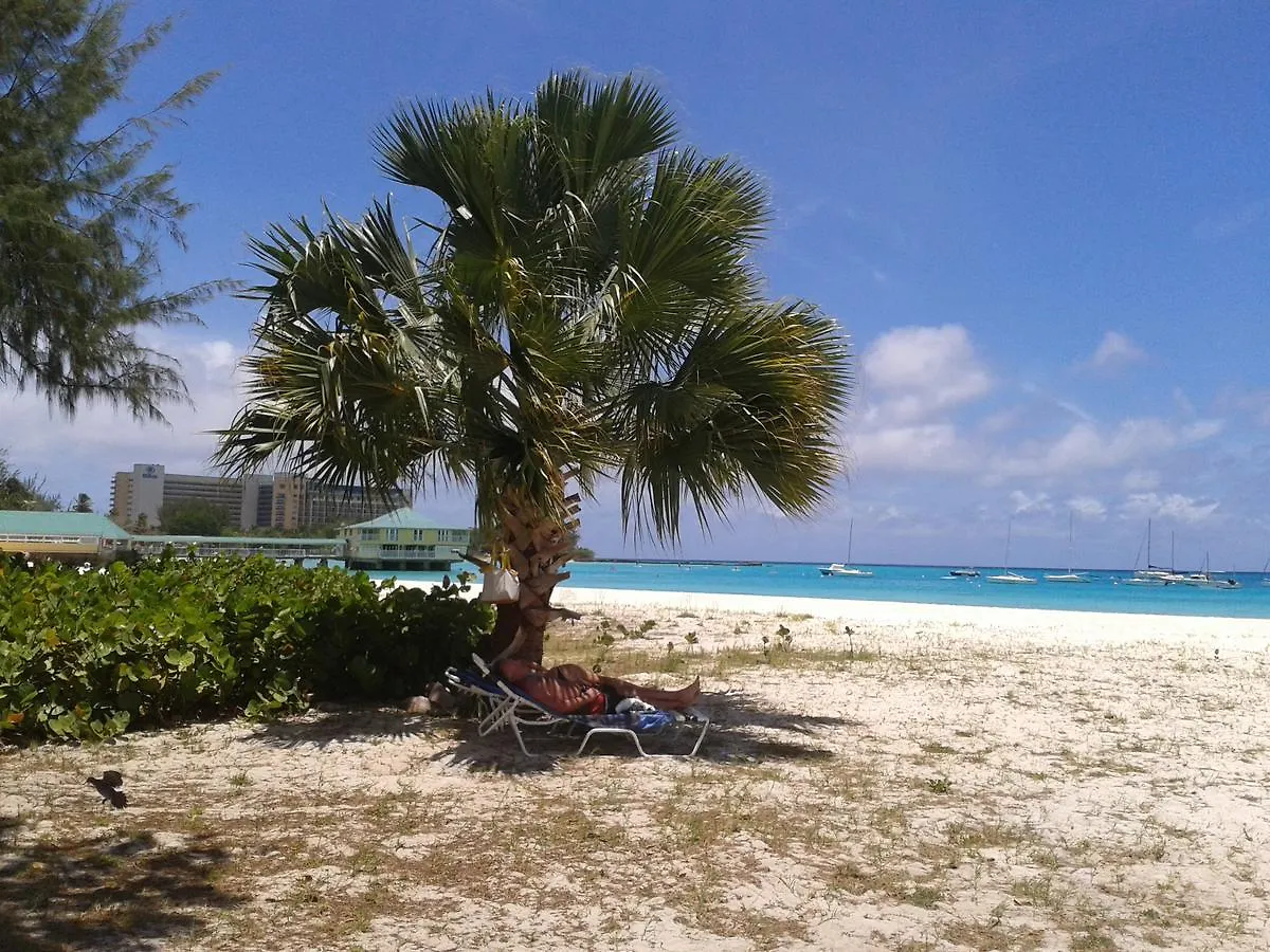 Nautilus Beach Apartments Bridgetown Barbados